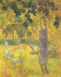 Hombre recogiendo fruta de un árbol, 1897